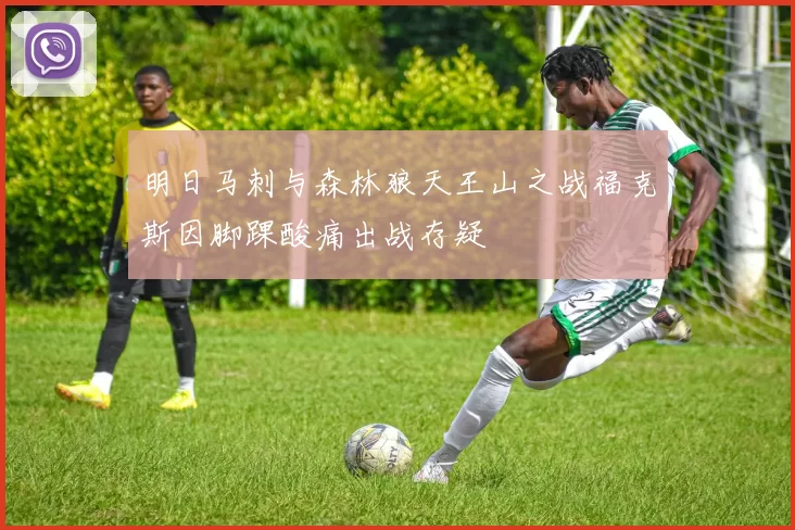 明日马刺与森林狼天王山之战福克斯因脚踝酸痛出战存疑